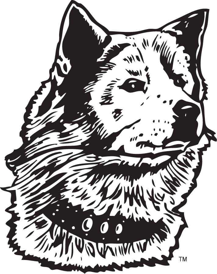 Washington Huskies 1936-1937 Primary Logo diy iron on heat transfer